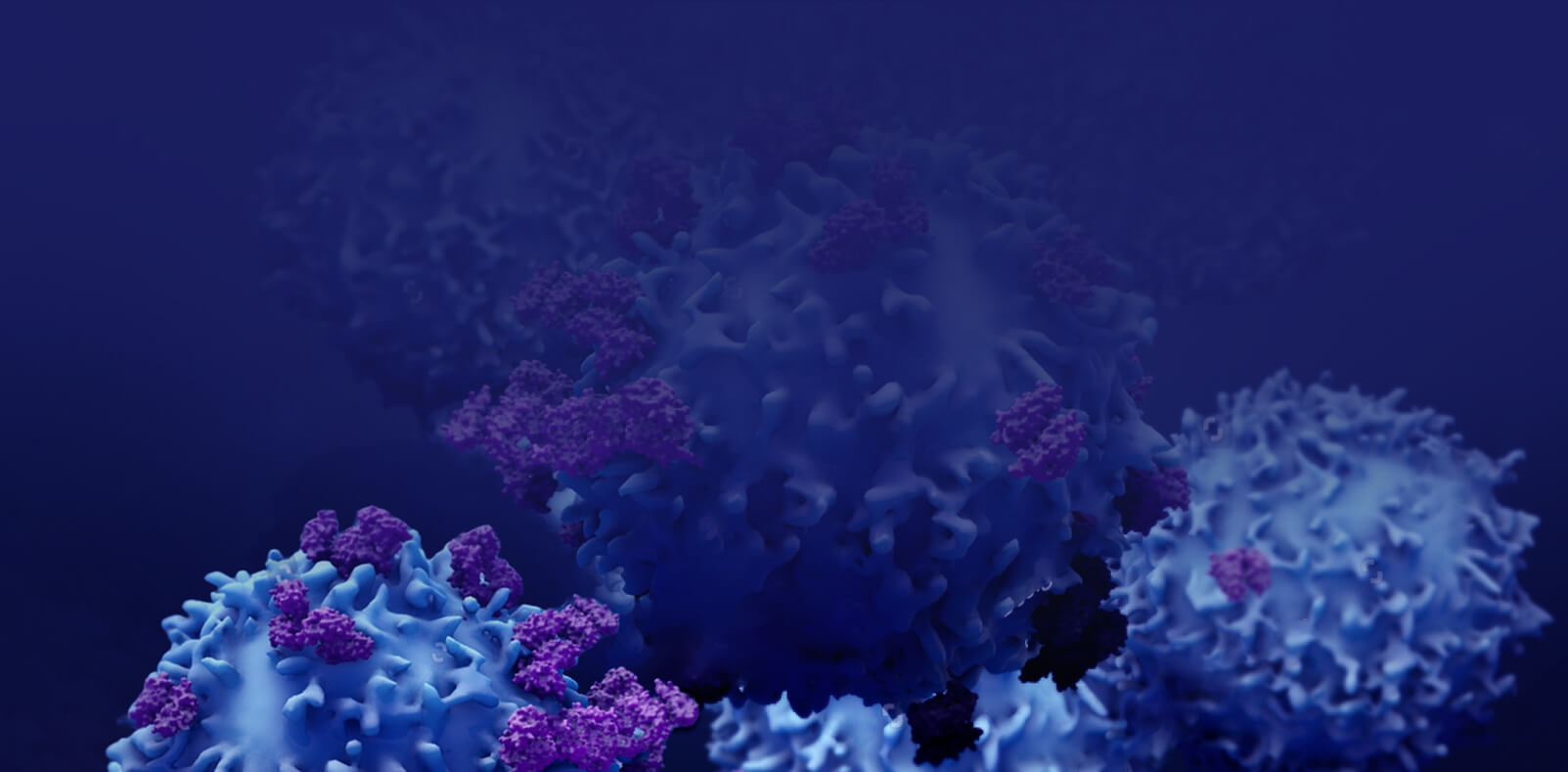 Banner1
